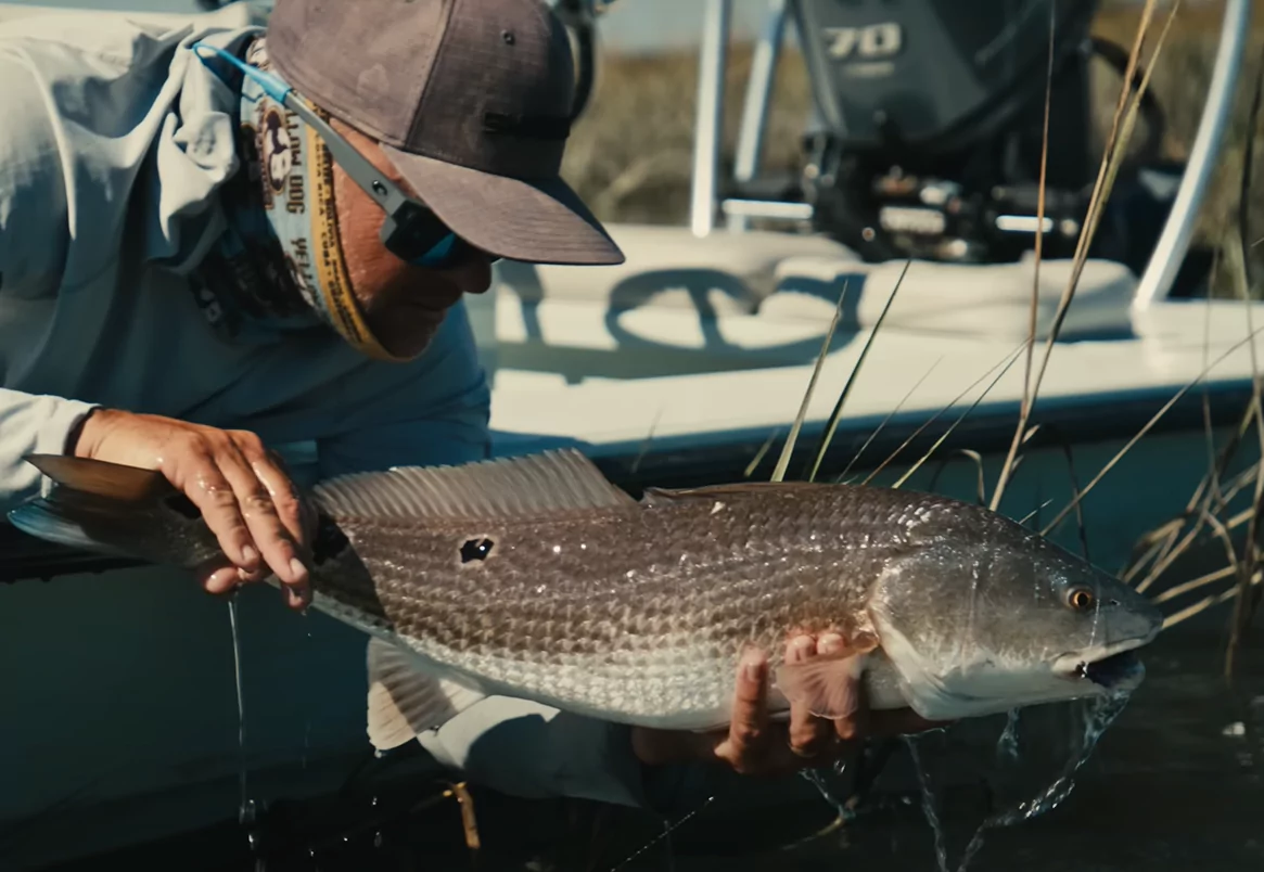 redfish succesfully caught